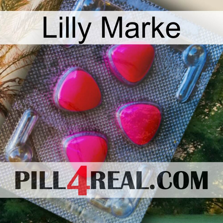 Lilly Brand 13